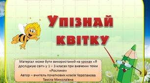 Презентація з теми "Рослини" - "Упізнай квітку"
