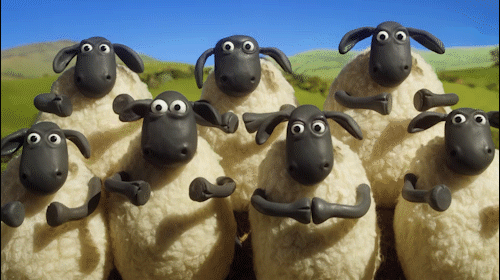 020121u0-0962-500x280.gif