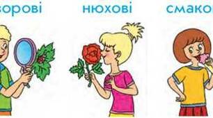 Як ми отримуємо інформацію