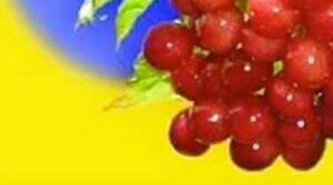 Інтерактивні вправи "Частини мови. Розділові знаки в реченні"