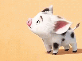 020122l6-45b4-268x200.gif
