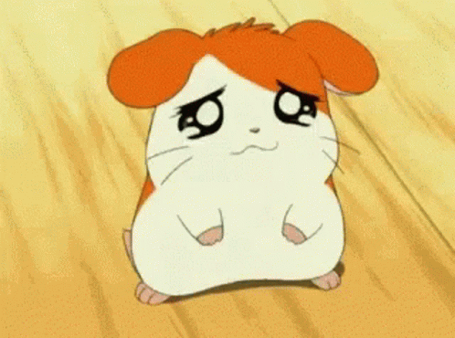 020122l7-00f5-498x370.gif