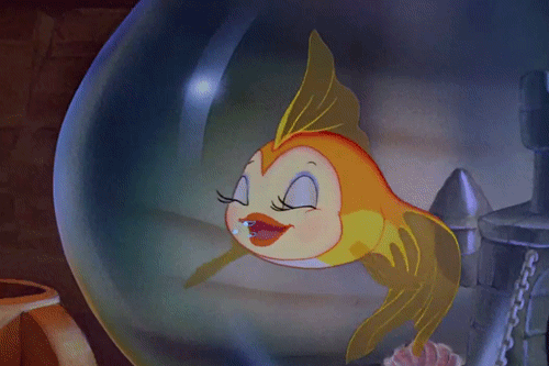 020122l8-3bbd-500x333.gif