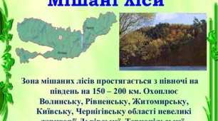 ТЕМА: РІВНИННІ ЛАНДШАФТИ, ЇХ РІЗНОМАНІТНІСТЬ. ЗОНА МІШАНИХ І ШИРОКОЛИСТИХ ЛІСІВ.