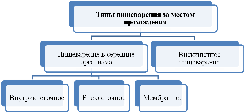 020125zb-a3b7-845x386.png