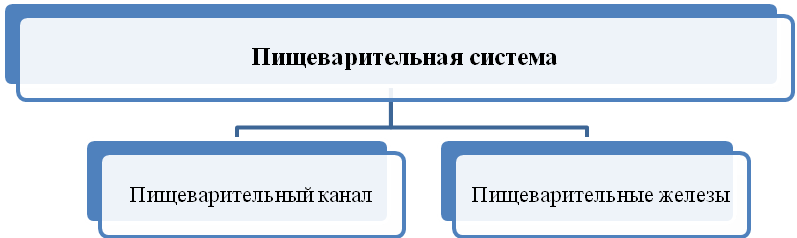 020125zc-3887-797x238.png