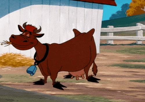 02012642-d9a8-500x352.gif