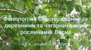 Фенологічні спостереження за деревними та чагарниковими рослинами. Весна