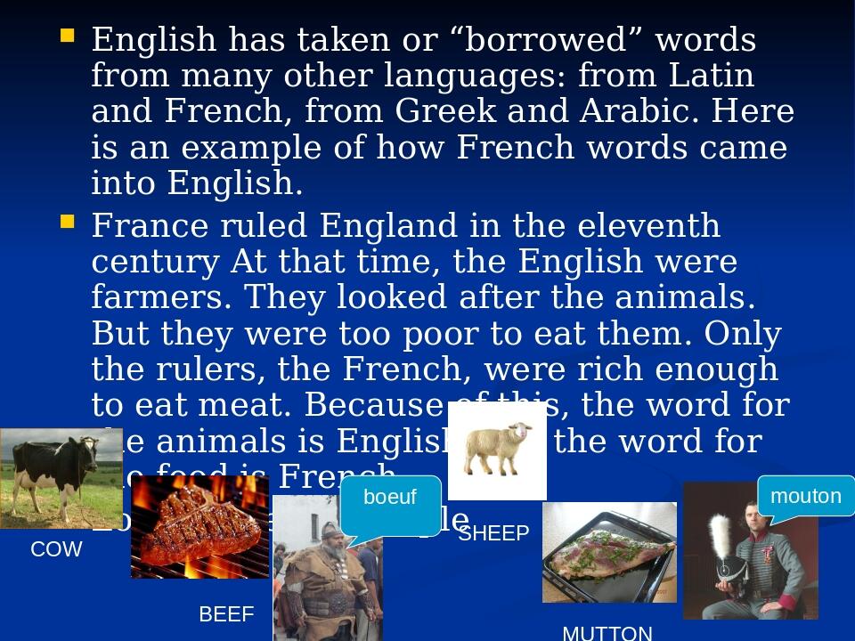 Презентація на тему"Use of borrowed words"