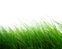 0201283c-8d62-126x101.png