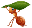 02012861-a96a-114x100.png