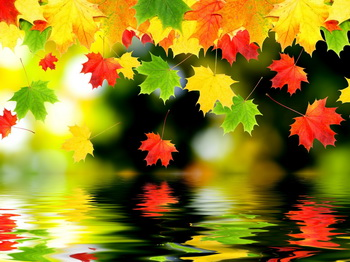 02012abu-6f9e-449x336.png