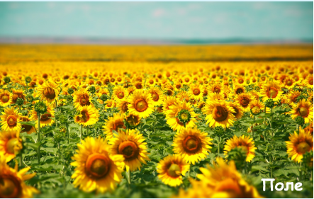 02012c08-3404-443x281.png