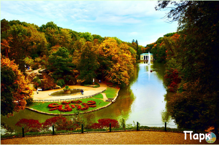 02012c09-cee2-445x295.png