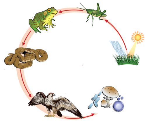 02012c0f-f913-500x419.png
