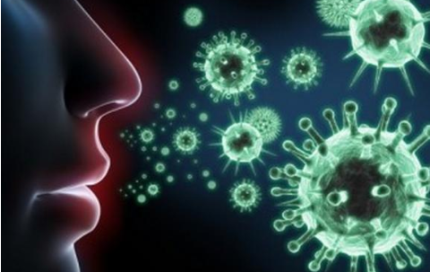 02012cg7-e705-480x303.png