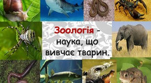 Вступ до зоології