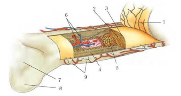 02012cp5-b204-595x317.png