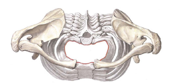 02012cqc-afa9-603x288.png