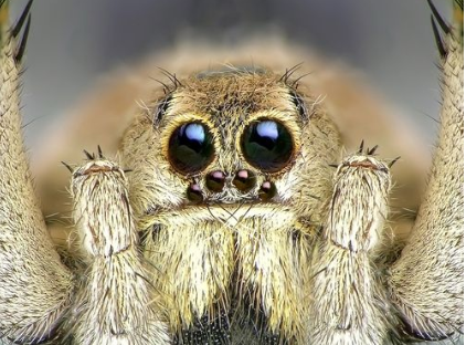 02012cs9-d94d-422x312.png