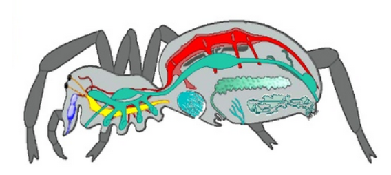 02012cse-8d1d-568x254.png
