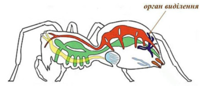 02012csk-f3e3-671x279.png