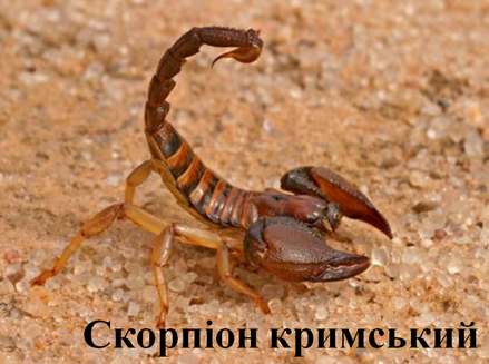 02012ctt-29cb-439x327.png