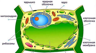 Презентація. Додаткова інформація до уроку "Вода та її властивості"