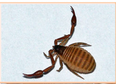 02012cu3-d122-116x84.png