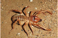 02012cu7-c08d-116x76.png