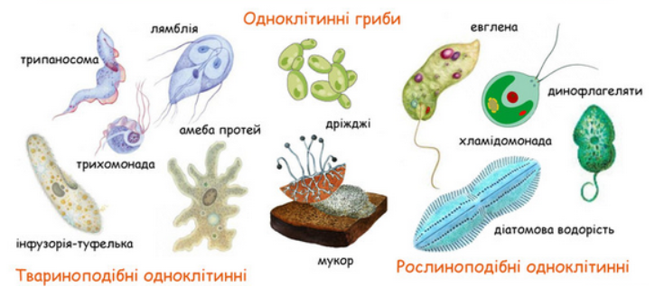 02012cvl-9a99-735x318.png