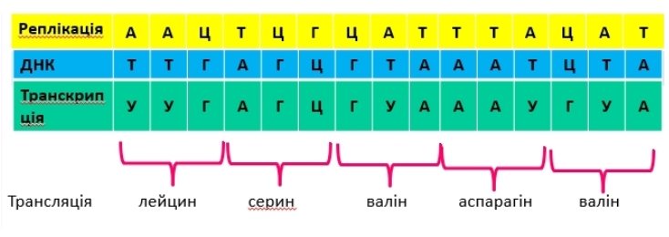 02012d16-6f9a-734x260.png