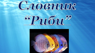 Робота над словниковим словом "Риби. Акула"