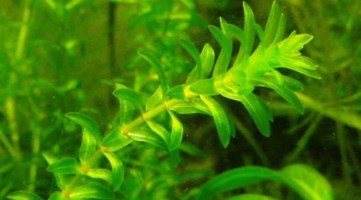 02012d6i-9ccd-527x292.png