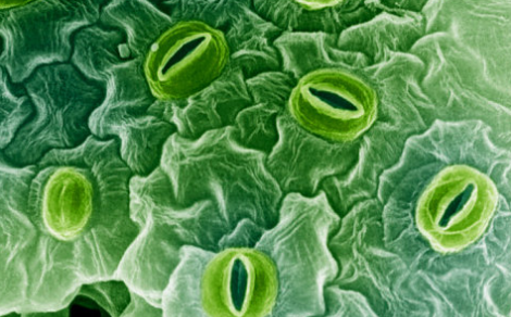 02012d6k-e7b6-470x292.png