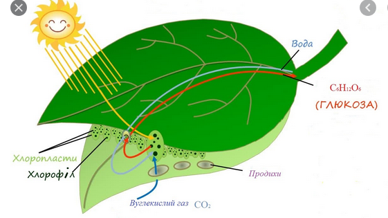 02012d6y-1f5b-561x315.png