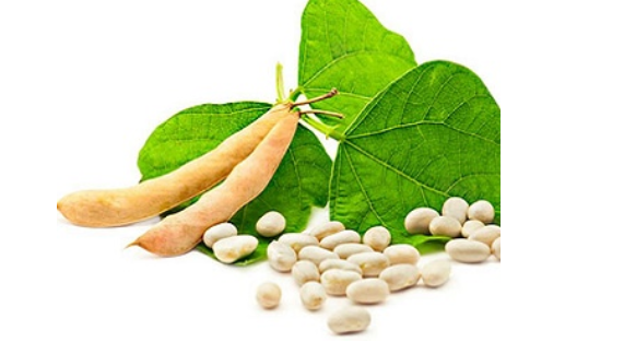 02012d8b-9744-571x313.png