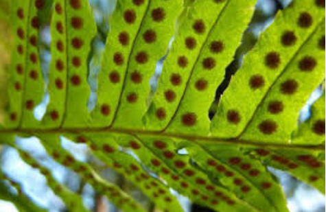 02012d8i-85b4-475x309.png