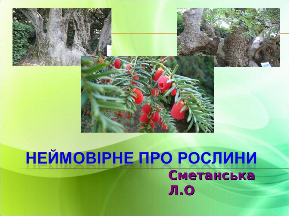 Сметанська Л.О