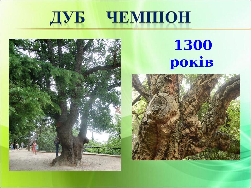 1300 років
