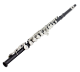 ROZETKA | Флейта до SLADE Flute (Black). Цена, купить Флейта до SLADE Flute (Black) в Киеве, Харькове, Днепропетровске, Одессе, Запорожье, Львове. Флейта до SLADE Flute (Black): обзор, описание, продажа