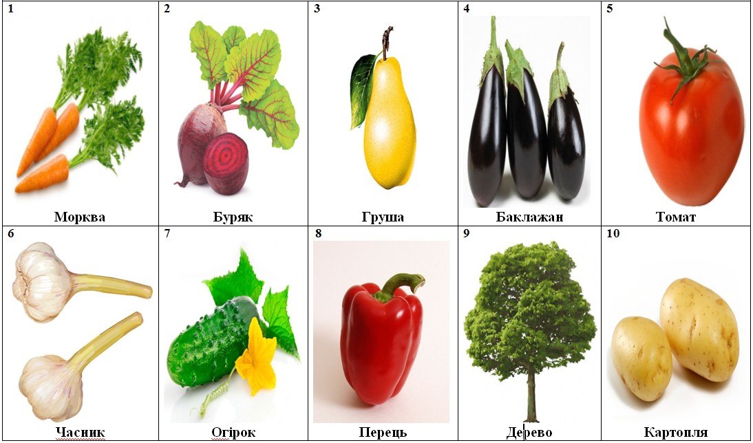 Фрукты овощи картинки для детского сада