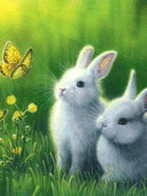 02012fpg-8215-165x220.gif