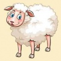02012g6f-dd6b-127x127.png