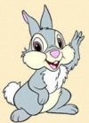02012g7e-b2f9-100x139.png