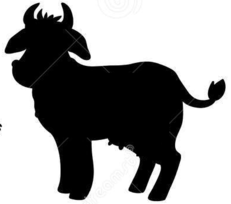 02012g9m-0312-231x204.png