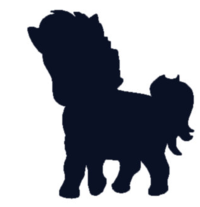 02012ga2-24c4-200x207.png
