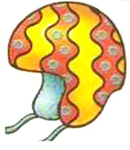 02012h2f-1412-267x309.png