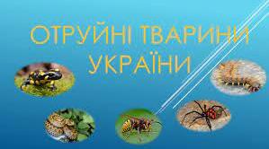 Інформаційний стенд "Отруйні тварини"