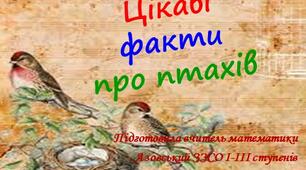 Презентація "Цікаві факти про птахів"